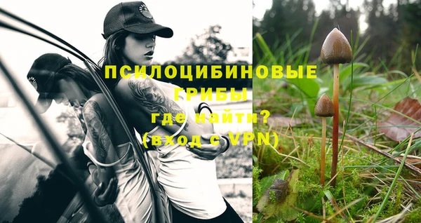 трава Горняк
