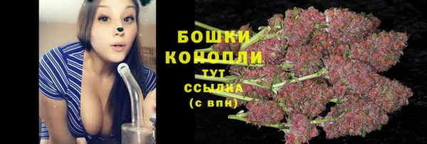 трава Горняк