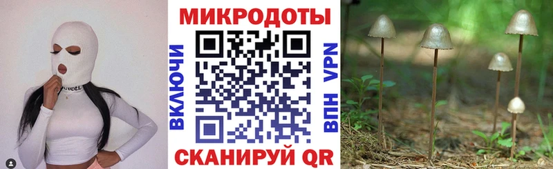 Псилоцибиновые грибы GOLDEN TEACHER  что такое наркотик  Дмитриев 